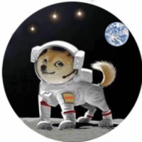 DOGZ_太空狗_Dogzcoin_DOGZ交易所