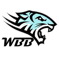 WBB_WBB_WBB交易所_WBB币
