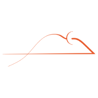 MOUSE_Mouse_MOUSE交易所_MOUSE币