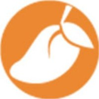MANGO_Mango_MANGO交易所_MANGO币