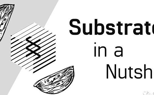 Substrate 极简概括：功能、特性与共识