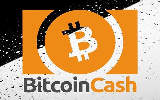 多个主流项目开发资金即将烧光 BCH该不该征矿工税？