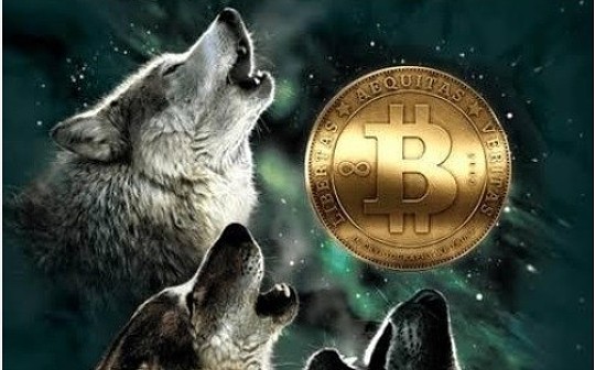 金色深度丨比特币是狼 传统金融市场更像家养宠物狗？