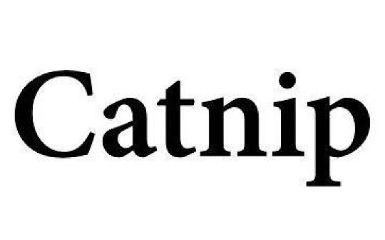 V神推荐新预测应用Catnip DeFi又一创新领域