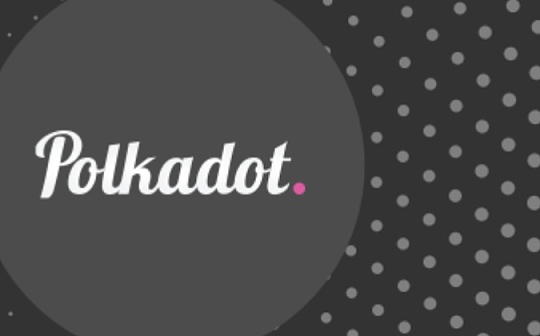 Polkadot开发者社区训练营全球招募 寻找Web3.0的先行者