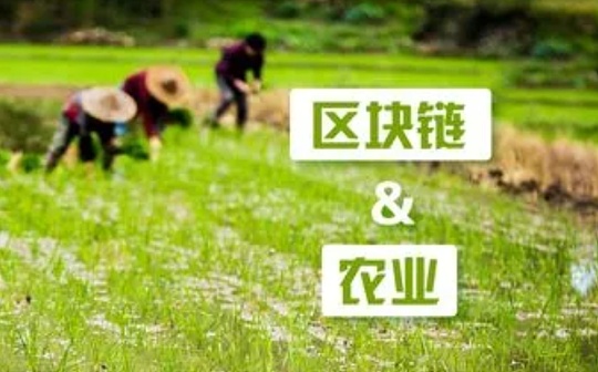 调研显示：76%以上消费者倾向购买“上链”农产品