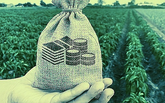 Pantera Capital：新一轮「加密投资热潮」即将到来