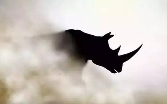 比特币是否正在成为一头“灰犀牛”？