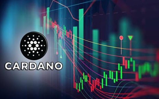 视频 | 市值稳居前五的Cardano区块链到底是什么？