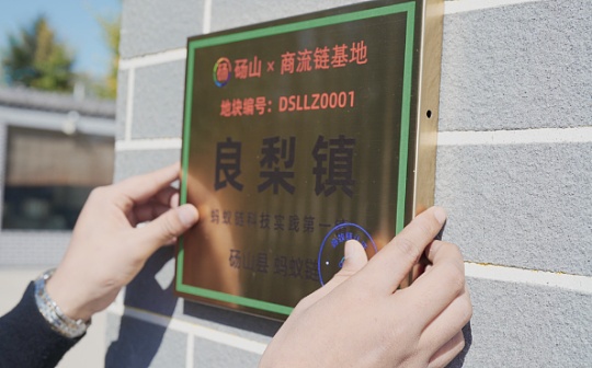 “上链”正在成为农村地区“触网”之后的新选择