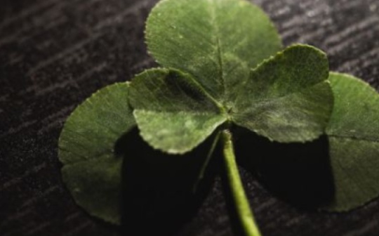 觅新 | Clover Finance ：Polkadot 生态智能合约平台