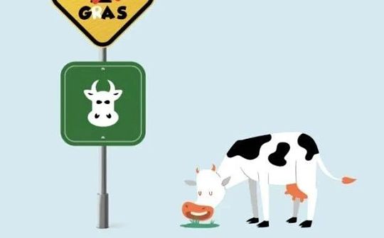 ​CirclesUBI创始人新项目CowSwap：零手续费+内存池方案优化