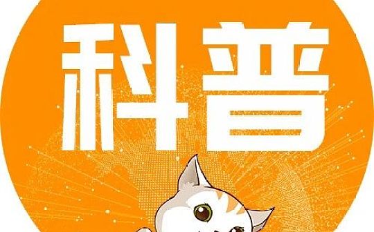 科普：区块链能让盗版问题得到根治吗？