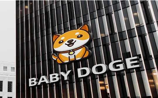 危险动物园:BabyDoge 西方重提「模式币」